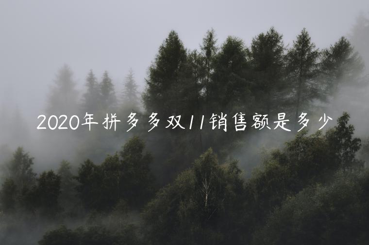 2023年拼多多雙11銷(xiāo)售額是多少